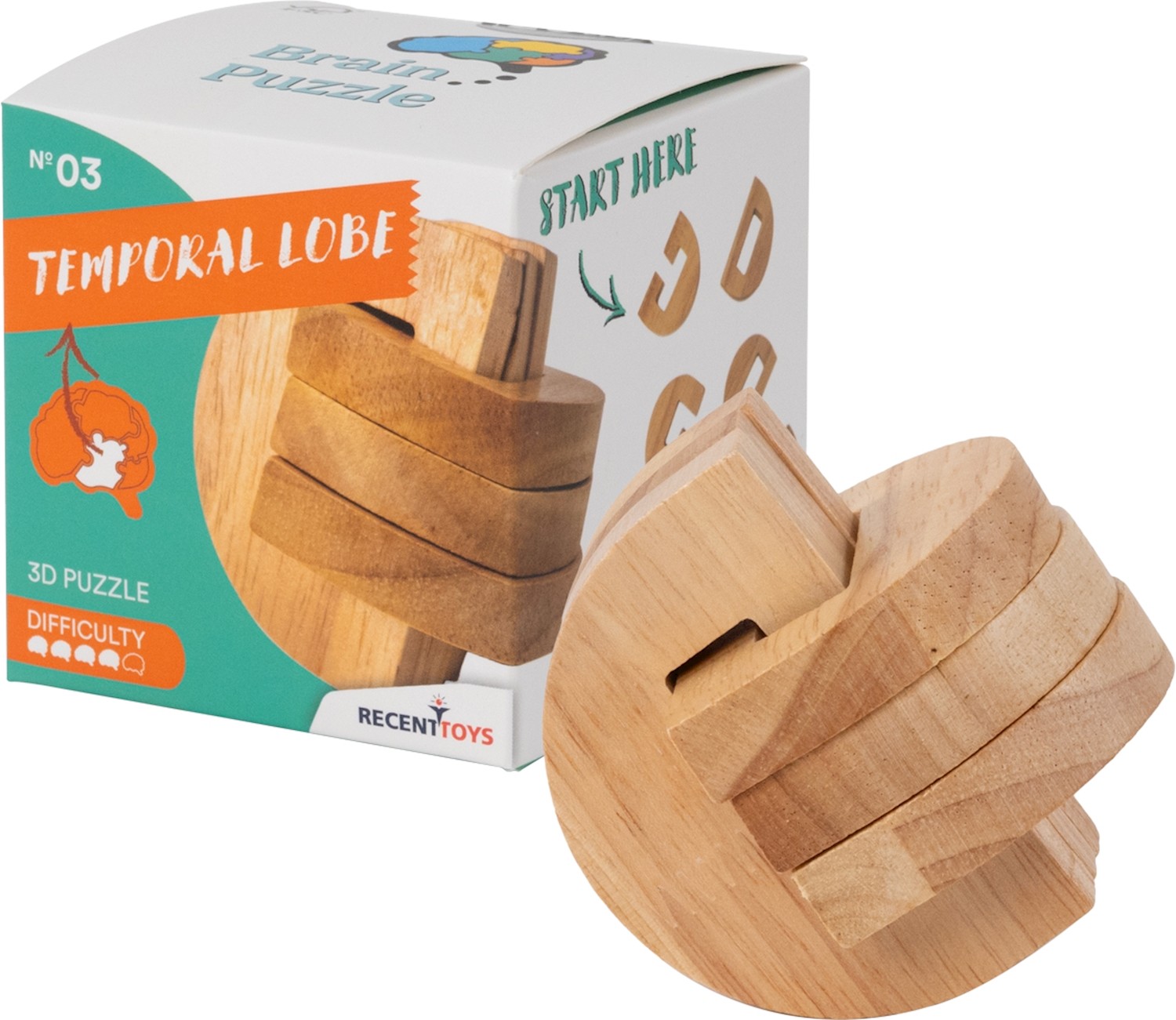 Casse-Tête Brain Puzzle - Temporal Lobe